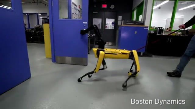 Pig, robot, boston dynamics, legged locomotion, mobile manipulation, dynamic robots, spotmini, legged robots, pig, science technology.