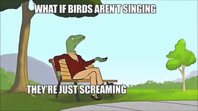 What if birds aren't singing they just screaming because they are afraid of heights