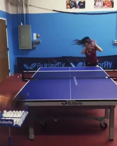 Everybody Play Ping Pong, Sport, Eleprimer, Game, Play, Girl, Skill, Trick, Tennis, Sports
