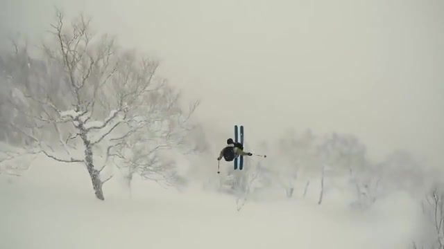 Fail flip in tree, skis, snowboarding, snow, flip, fail, sports.