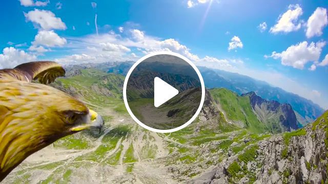 Breathtaking eagle pov flying over the alps, red bull, redbull, action sports, extreme sports, breathtaking view, eagle pov, eagle view, nebelhorn germany, eagle nebelhorn, bird view, bird pov, eagle gopro, gopro, mountain, aerial view, aerial, mountains, view, hiking, wanderlust, eagle eye, 4k, alps, pov, eagle, hd camera, stoked, eagel eye, redbull eagle, eagleeyes camera, bird, red bull eagle cam 360, beautiful, point of view, cam, travel, shane eagle red bull, red bull bird, bird red bull, nature travel. #0