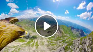 Breathtaking Eagle POV Flying Over The Alps