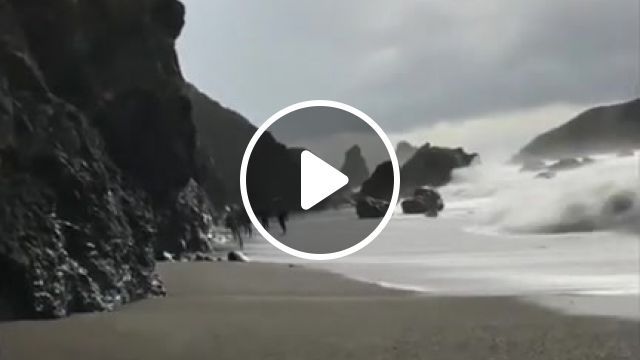 Chariots of fire. Beginning, Best Vines, Funny Tik Tok, Funny, Funniest, Nature Travel