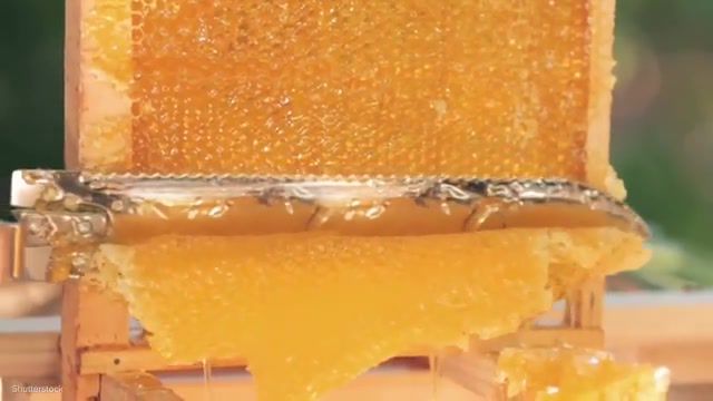 Honey, Blow You Killed Me On The Moon, Honeycomb Is Mesmerizing, Honey, Honung, Sweet, Kniven, Knife, Food Kitchen