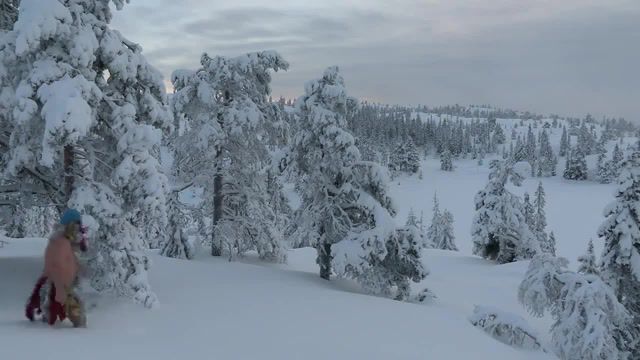 Merry Christmas - Video & GIFs | happy new year,nature travel
