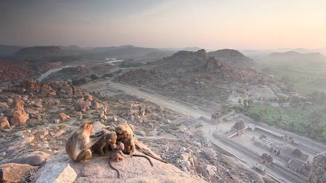 Sunrise with monkeys, Hampi, Baby, Family, Valley, River, Rock, Mountain, Hill, Sunrise, Hampi, India, Monkey, Nature Travel