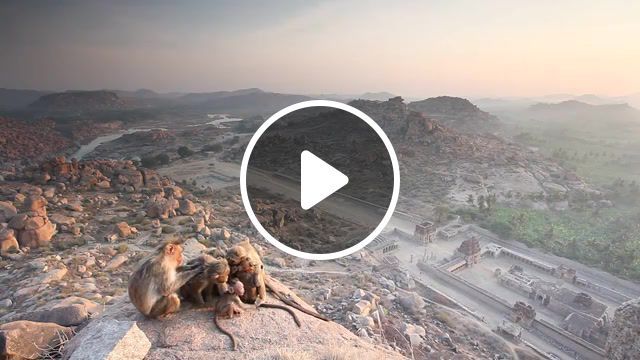 Sunrise with monkeys, hampi, baby, family, valley, river, rock, mountain, hill, sunrise, hampi, india, monkey, nature travel. #0