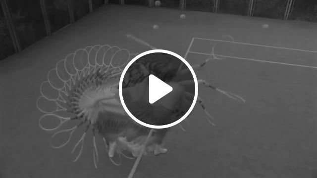 Serve, girl, serve, tennis, filmed on kodak 16mm, awkward satellite, goodcat kelevra, lorde, tennis court, remix, stereotactic, black and white, bw, greyscale, sports. #0