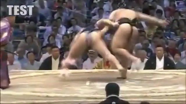 Sumo fight animation render makes it look like an anime fight, sumo wrestler, japan, sports.