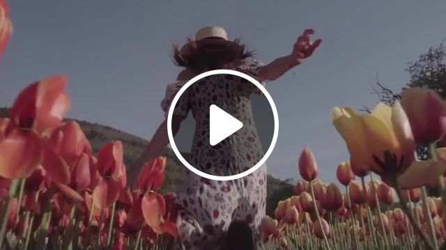 Tulips, field, girl, phoniks remix, back in the game, wu tang clan, tulip, tulips, nature travel. #0