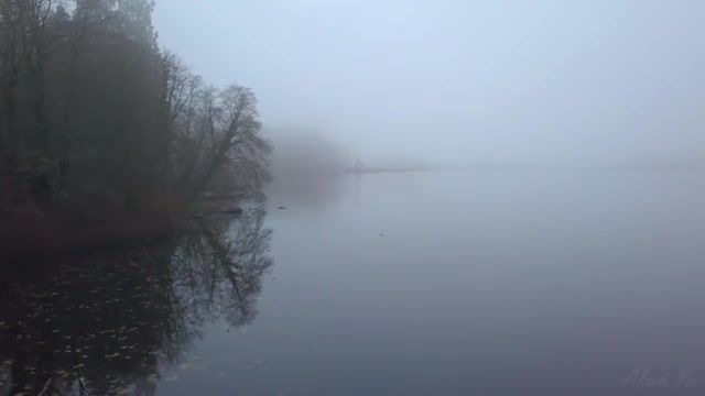 Foggy Forest - Video & GIFs | canada,mountain,nature,fog,forest,music,nature travel