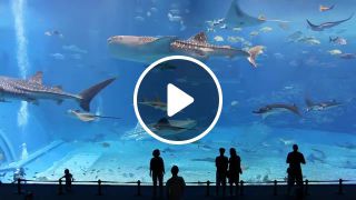 Largest aquarium in the world