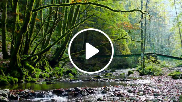 River, green, forest, living hour miss emerald green, music, nature, travel, river, nature travel. #0