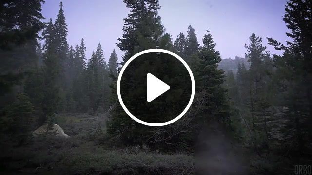 Snowy morning in the stanislaus national forest, eleprimer, orbo, cure, music, slow, weather, winter, snow, forest, cinemagraphs, cinemagraph, live pictures. #0