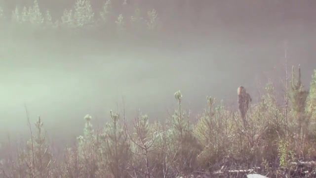 Love the fog - Video & GIFs | russian despair 13,blue whale,4 20,suicide,mentally ill,sadness,tears,emptiness,decay,hopelessness,apathy,longing,pain separation,loneliness,betrayal,feelings,relationships,pain,love,rznsk beats fog,tuman,rznsk beats