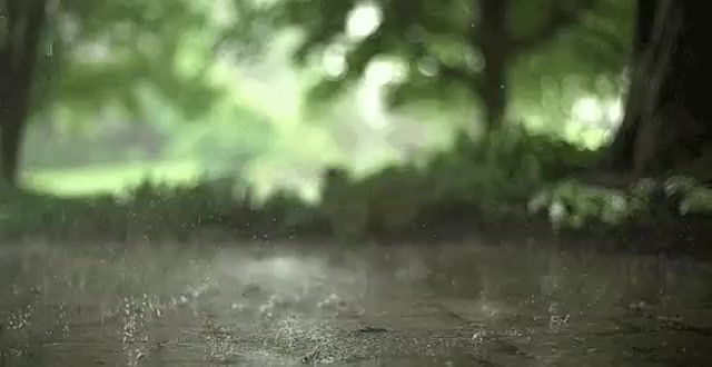 Magic rain, Nature Travel