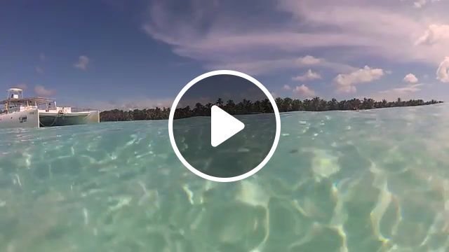 Sea chill, chillout, chillout music, dominican, dominican republic, saona, island, boat, blue sea, sea, carribian, underwater, half, sands, wave, palms, tropical, relax, nature, travel, gotravel, sun, vacation. #0