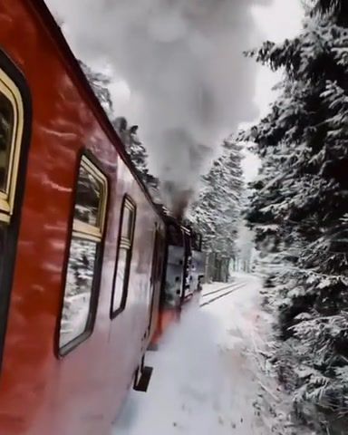 Train in the winter forest, Nature Travel