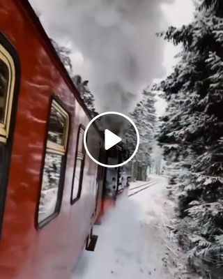 Train in the winter forest