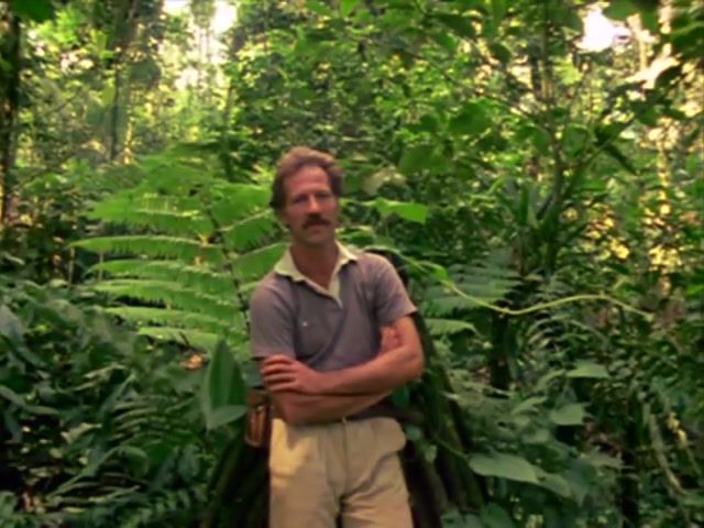 Werner Herzog on the harmony of the jungle, Nature Travel