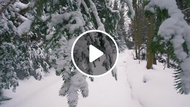 Winter in the carpathians, 4k, background music, winter, winter mountains, carpathians, ukraine, western ukraine, lviv, wildlife, snow, winter rivers, beautiful winter scenery, winter landscapes, winter in 4k, relax, for insomnia, destress, snow capped mountains, ultra hd nature, nature, winter scenes, relaxing music, karpaty, ukrainian mountains, nature travel. #0
