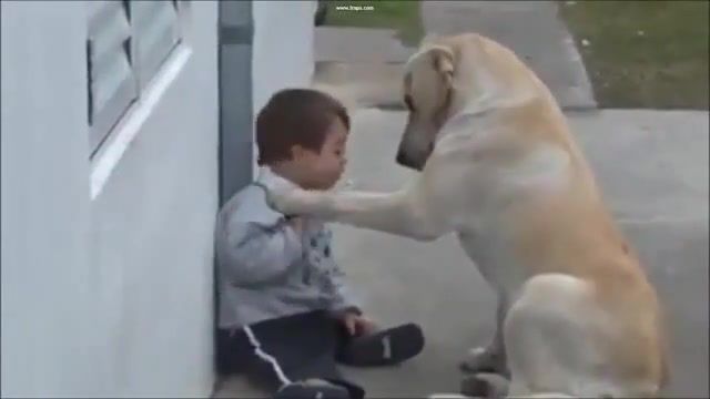 Dog and boy with down syndrome, rhyme, lyrics, poetry, poem, come jim give me your paw for luck i swear i've never seen one like it, to kachalov's dog, sergey yesenin, jim, bezrukov, ds, down syndrome, boy, dog.