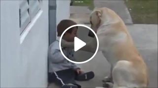 Dog and boy with down syndrome