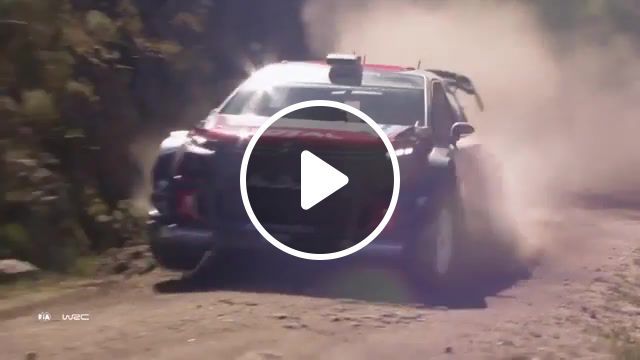 Wrc rally argentina, wrc, wrc highlights, fate, muzzy skyelle kg calling out, sport, car, argentina, auto, fia, team fate, fate team, miko ino, miko iino, soul stealer, br7k, cars. #0