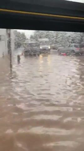 City Bus after Heavy Rains in New York - Video & GIFs | mta,city bus,rain,climate change,weather,science,bonuscrystals,nature travel