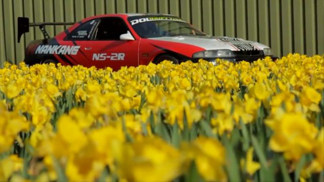Flowers, flowers, car, cars, music, loop, relax, auto to music, auto, live pictures.