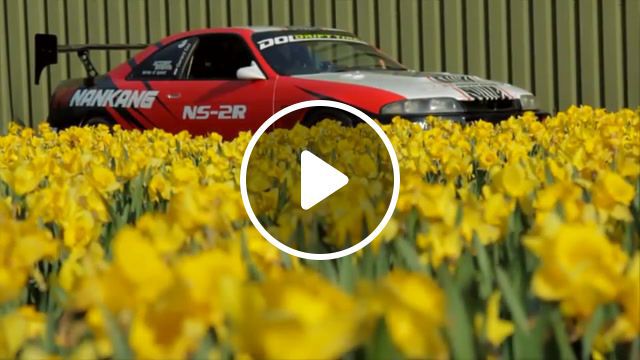 Flowers, flowers, car, cars, music, loop, relax, auto to music, auto, live pictures. #0