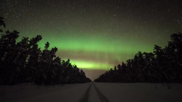 Want to get lost in the ng darkness forever, dance of the light, aurora, beautiful light, stars, norway, canada, woods, hills, space, oslo, alaska, north, music, uppermost, nature travel.