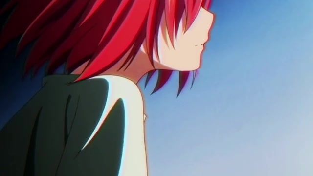 Bitterness of memories, the ancient magus bride.
