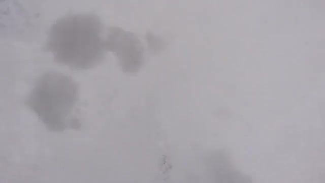 Undefiled Snow, Extreme, Fun, Winter, Hd, Hero4, Hero, Gopro, Snow, Undefiled, Sports