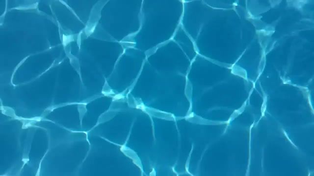 Pool - Video & GIFs | nature travel