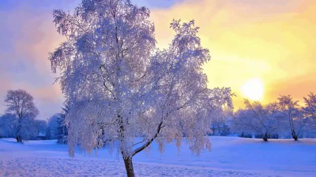 Relax, Winter, Snow, Relax, Nature Travel