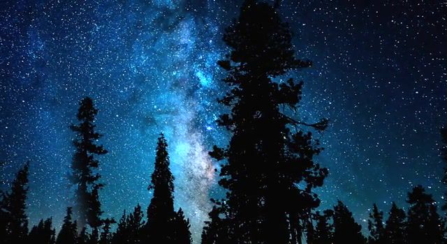 Starry night, slow motion, time, time lapse, time lapse photography, disasterpeace, disasterpeace comp, galaxy, cosmos, space, astronomy, night, forest time lapse, forest, com 233779241, spruce, nature travel.