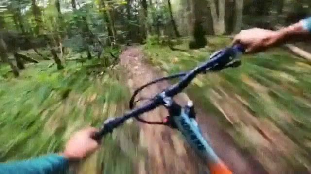 Gopro, forest and bmx, jontron, why, whyyy, reaction, random reactions, what a twist, bmx, forest, speed, goprofun, gopro, crazy, madness, c, rock, remix, gif, the unguided phoenix down zardonic remix, sports.
