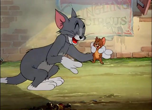 Wrong Tom, Tom, Jerry, Cat, Mouse, Cartoons