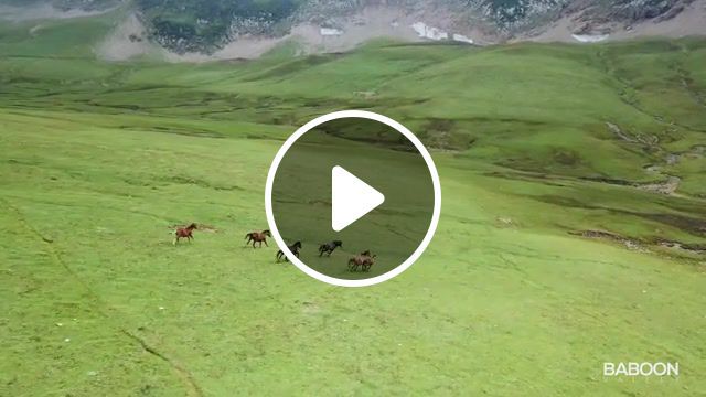 Exploring baboon valley patlian lake neelum valley kashmir pakistan, sahibo, baboon valley, baboon top, kutton resorts, jagran resorts, neelum valley 4k, taobut, chita khatha lake, patlian lake, kala sar lake, ratti galli lake, shounter, sharda, baboon valley neelum valley, road condition, explore pakistan. #0