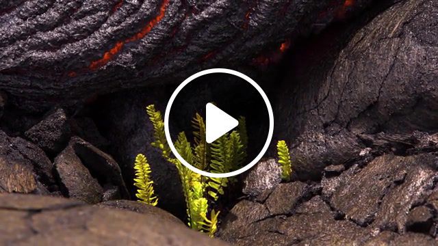 Life, uhd, molten, hawai'i, pahoa, mordor, meditation, yoga, beautiful, kilauea, magma, timelapse, time lapse, ambient, volcano, lava flow, hawaii, river of fire, lava, nature travel. #0