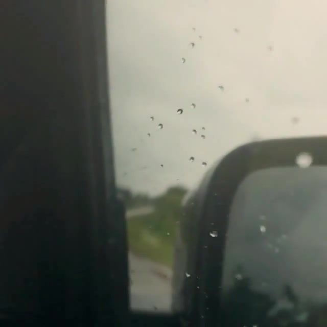 Peas of rain, Weather, Perm, Russia, Top100, Oftheday, 1st, 1, Hot, Top, Best, Cool, 120fps, Slowmotion5s, 5s, Iphone, Slowmotion, Slow, Rain, Peas, Nature Travel