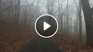 Radiohead fog