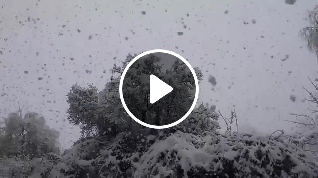 Snow, new year, snow, mood, happiness, love, snowing, weather, nature travel. #1