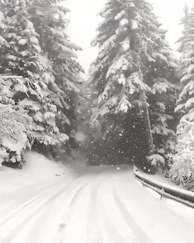 Snow, nature travel.