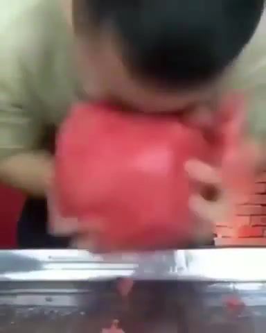 The demise of a watermelon - Video & GIFs | watermelon,nature travel