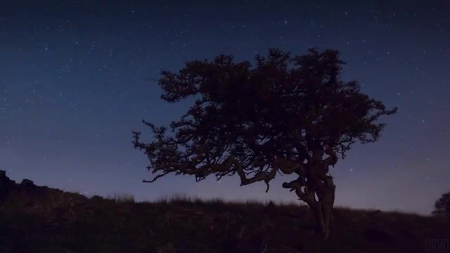 The long night, Eleprimer, Orbo, Loop, Cinemagraphs, Cinemagraph, Stars, Wood, Forest, Night, House, Live Pictures