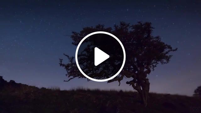 The long night, eleprimer, orbo, loop, cinemagraphs, cinemagraph, stars, wood, forest, night, house, live pictures. #0