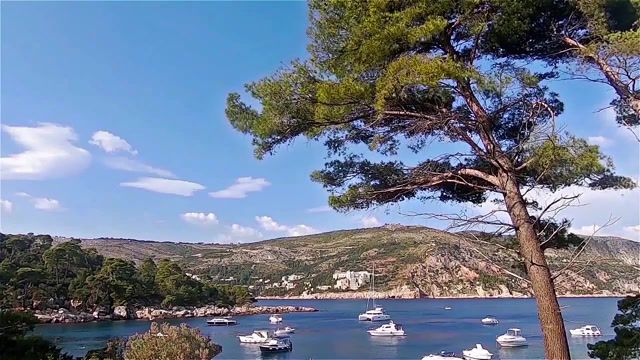 Alright, croatia, adriatic sea, dubrovnik, lokrum island, live, seatripmob, nature travel.