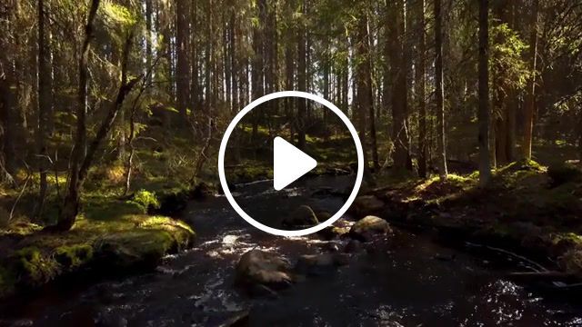 Beautiful nature from finland, sunrise, sunset, nature, beautiful, trees, drone flying, mist, fog, forest, river, ojala, jani, jani ojala, saltkaret, kvarken, ruskiakallio, national park, national landscape, koli, wilderness, oulanka, kuusamo, saariselk a. #0